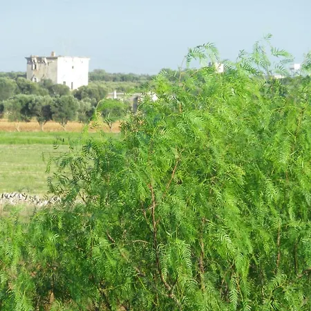 Casa Colonica Liliane Alloggio per agriturismo Porto Cesareo